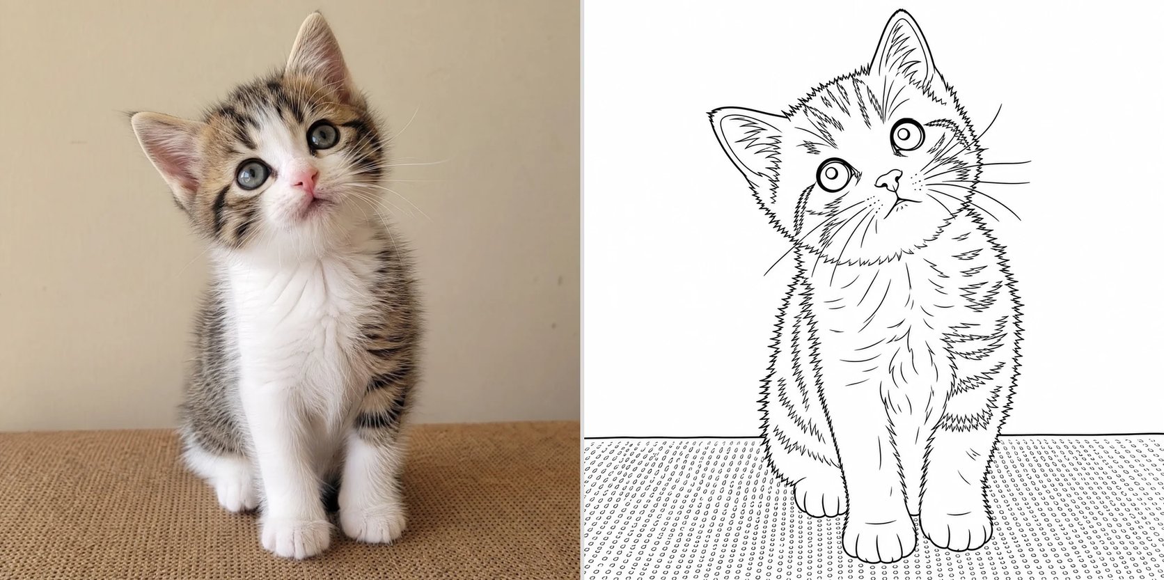 A coloring page of a kitten beside the original kitten photo